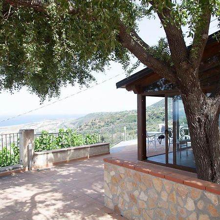 B&B Le Rose Del Tirreno 法勒纳 外观 照片