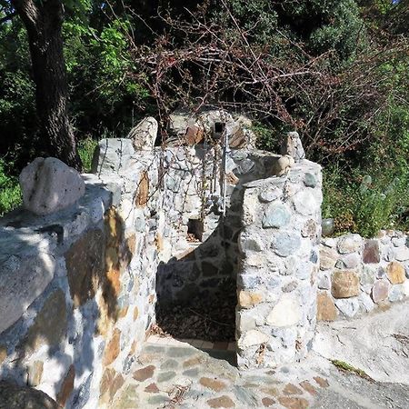 B&B Le Rose Del Tirreno 法勒纳 外观 照片