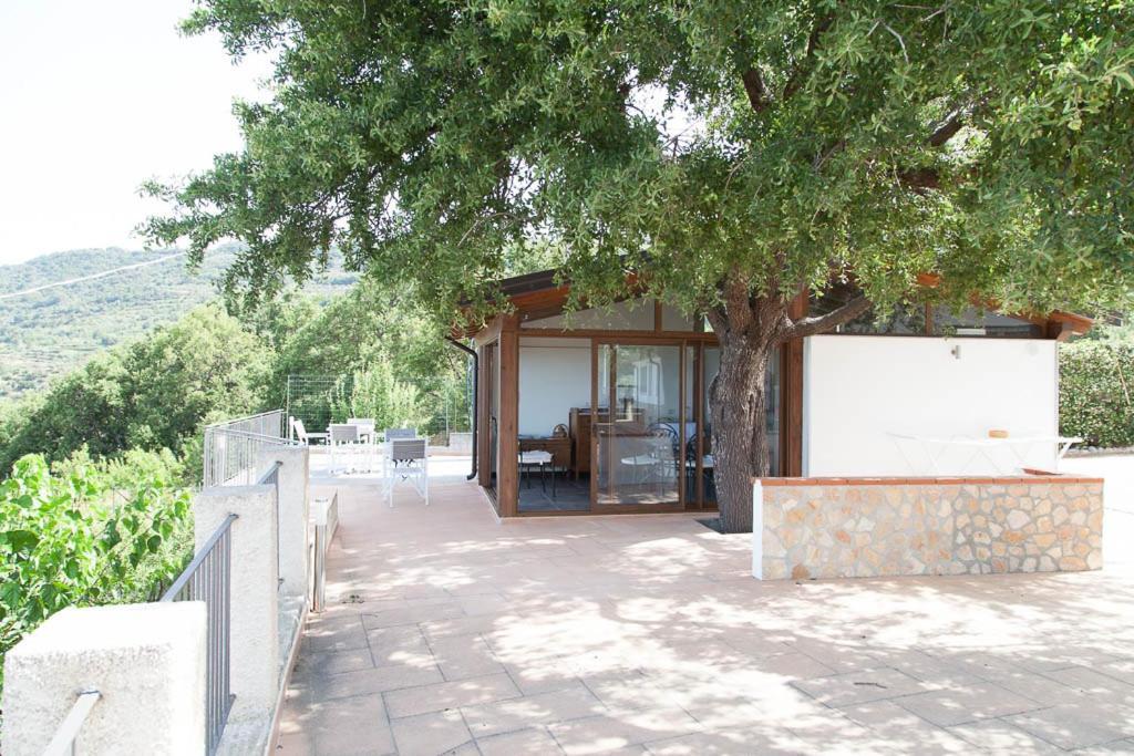 B&B Le Rose Del Tirreno 法勒纳 外观 照片
